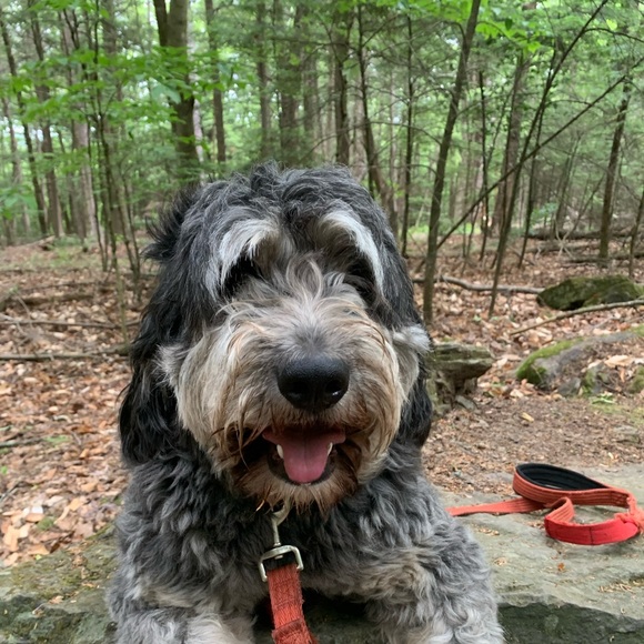 Meet your Posher, Jacqueline - Picture 1 of 1